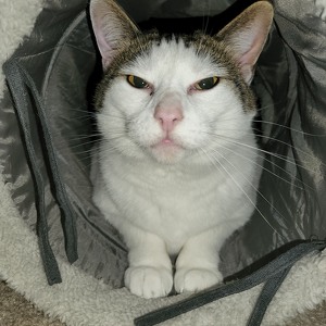 Fundraising Page: Jeffrey Baldwin